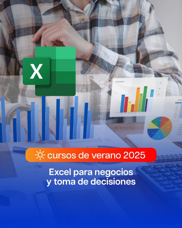 CURSO DE VERANO - Excel para negocios y toma de decisiones (Nivel Inicial)